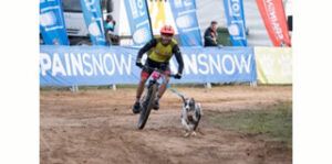 Lee más sobre el artículo MUSHING
