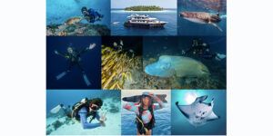 Lee más sobre el artículo SCUBA FINDERS CIERRA SU RONDA DE INVERSIÓN, AMPLÍA SU EQUIPO Y ABRE NUEVAS OFICINAS.