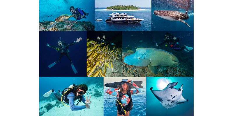 En este momento estás viendo SCUBA FINDERS CIERRA SU RONDA DE INVERSIÓN, AMPLÍA SU EQUIPO Y ABRE NUEVAS OFICINAS