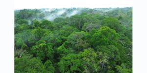 Lee más sobre el artículo SATORISAN REFUERZA SU COMPROMISO CON LA PRESERVACIÓN DEL AMAZONAS A TRAVÉS DE CHACRONA AMAZON COMMITMENT.