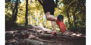 Lee más sobre el artículo BENEFICIOS DEL ENTRENAMIENTO EN ESCALERAS PARA EL TRAIL RUNNING.