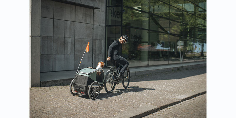 Aventuras en equipo: productos de Thule para disfrutar al máximo con tu perro:
